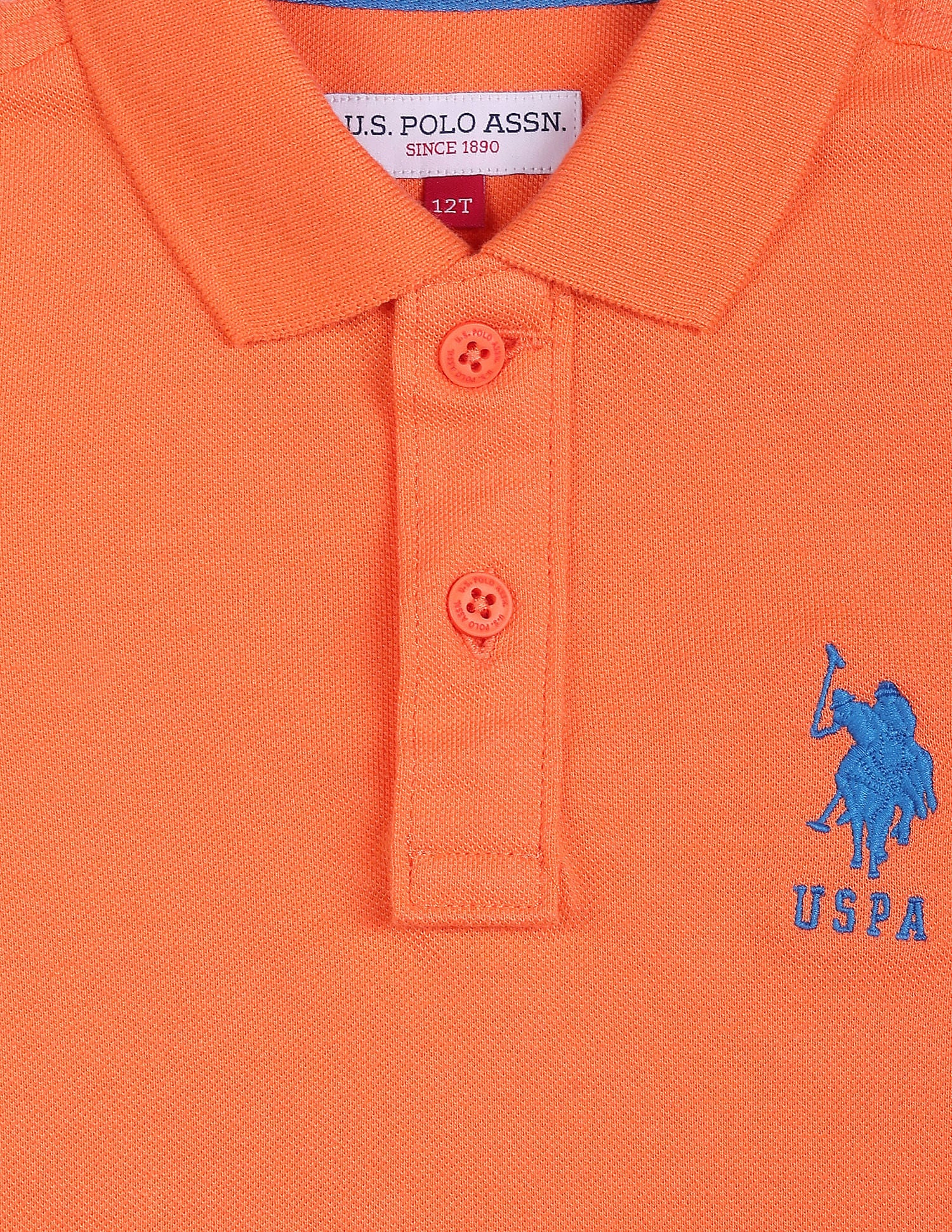 Pure Cotton Solid Polo Shirt - Image 3